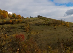 Jesień, Pola, Łąki, Drzewa