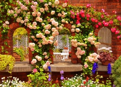 Ogród, Pnące, Róże, Kwiaty