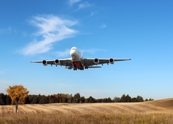 Samolot, Airbus A380, Łąka, Las