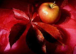 Jabłko, Czerwony, Liść