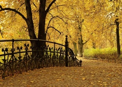 Park, Jesienią, Mostek, Aleja