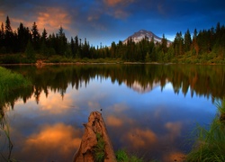 Stany Zjednoczone, Stan Kalifornia, Park Narodowy Yosemite, Jezioro Mirror Lake, Las, Odbicie