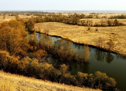 Rzeka, Łąki, Roślinność