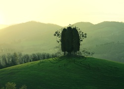 Góry, Drzewo, Słońce