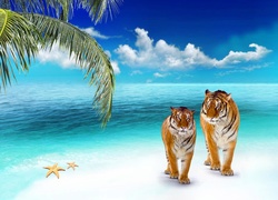 Ocean, Plaża, Palma, Tygrysy