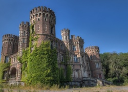 Chateau De La Foret, Belgia, Zamek, Winorośl