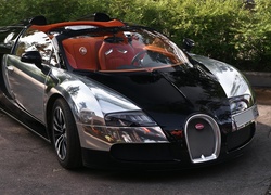 Bugatti Veyron 16.4 Grand Sport