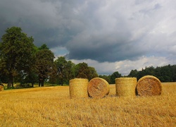 Lato, Snopki, Pole