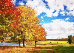 Jesień, Łąki, Jezioro, Chmury, Drzewa
