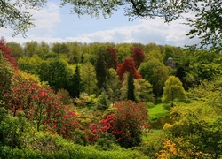 Park, Altana, Kolorowe, Drzewa, Krzewy