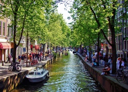 Amsterdam, Ulica