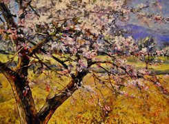 Wiosna, Kwitnące, Drzewo, Reprodukcja, Obrazów