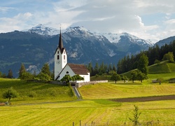 Kościółek, Góry, Lasy, Łąki