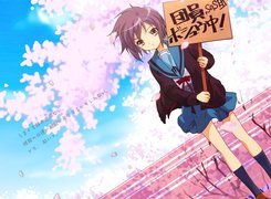 Suzumiya Haruhi No Yuuutsu, tabliczka