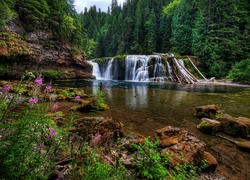 Rzeka, Wodospad Lower Lewis River Falls, Skały, Las, Drzewa, Osada Cougar, Stan Waszyngton, Stany Zjednoczone