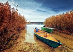 Jezioro, Szuwary, Łódki