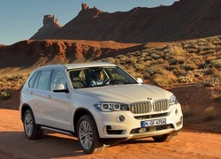 Białe, BMW X5, Model 2014