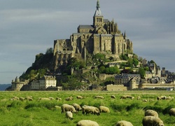 Klasztor, Łąka, Owce, Mount Saint Michel, Francja