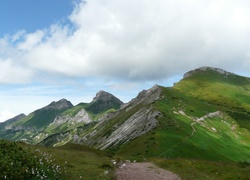 Droga, Łąka, Góry