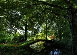 Park, Mostek, Ławeczka