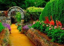 Piękny, Ogród, Ścieżka