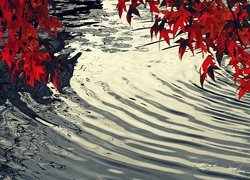 Jesień, Czerwone, Liście, Rzeka