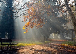 Park, Ławka, Promienie, Słońca, Jesień