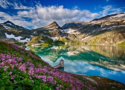 Austria, Weisssee, Góry, Alpy, Jezioro, Różowe, Kwiaty
