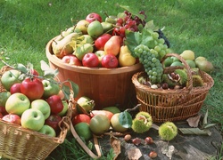 Koszyki, Owoce, Jabłka, Winogrona, Kasztany jadalne