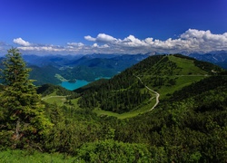 Alpy Bawarskie, Niemcy, Jezioro, Las, Panorama