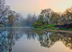 Rzeka, Mgła, Drzewa