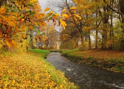 Rzeka, Park, Liście, Jesień