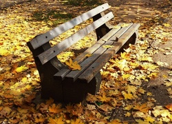 Park, Ławka, Jesienne, Liście