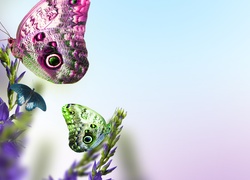 Kolorowe, Motyle, Kwiaty