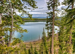 Stany Zjednoczone, Park Narodowy Yellowstone, Jeziora, Lasy, Krajobraz