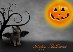 Halloween, Kot, Dynia, Drzewo