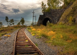 Tor, Kolejowy, Tunel, Rośliny