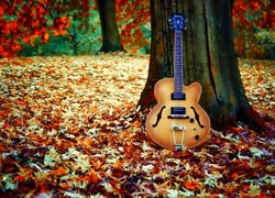 Gitara, Drzewo, Liście