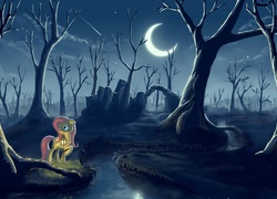 My Little Pony, Noc, Księzyc, Drzewa