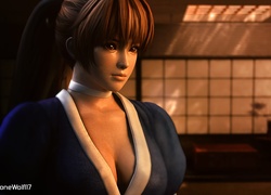 Dead Or Alive 5, Kasumi