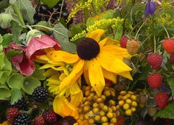 Rudbekia, Maliny, Jeżyny