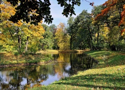 Rzeka, Park, Kolorowe, Drzewa, Liście, Jesień