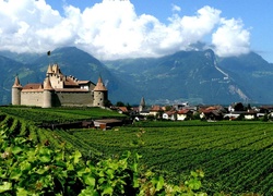 Zamek Aigle Castle, Region Chablais Vaudois, Szwajcaria, Winnice