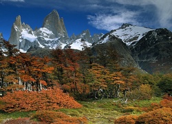 Patagonia, Park, Narodowy, Glaciares