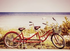 Czerwony, Rower, Tandem, Suche, Trawy