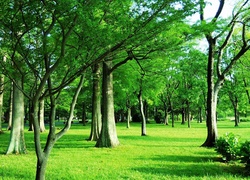 Park, Wiosną