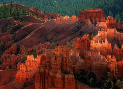 Stany Zjednoczone, Stan Utah, Park Narodowy Bryce Canyon, Skały, Kanion, Las