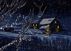 Zima, Noc, Boże, Narodzenie, Domy, Choinka, Drzewa, Śnieg