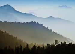 Góry, Lasy, Mgła