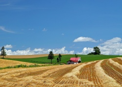 Wieś, Pola, Dom